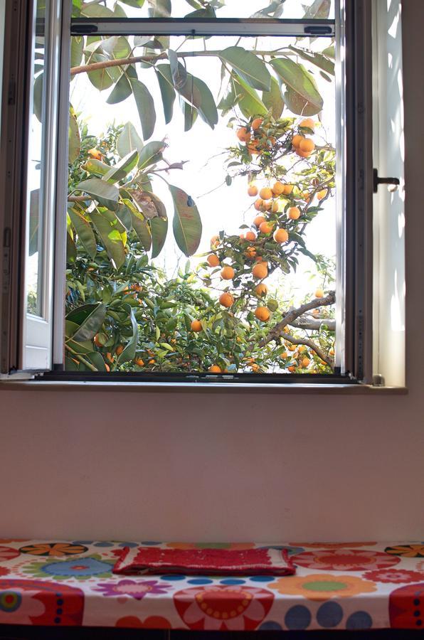 Il Giardino Del Sole Roccarainola Exterior foto